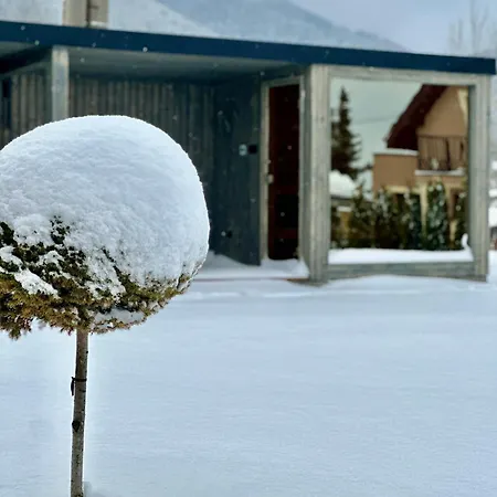 Дом отдыха Challet *